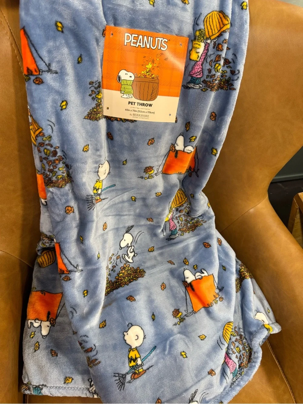 Peanuts Light Blue Snoopy & Charlie Brown Fall Throw